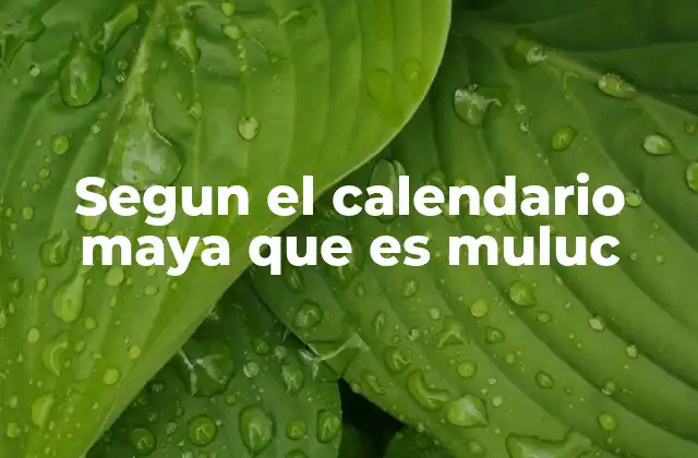 Segun el Calendario Maya que es Muluc