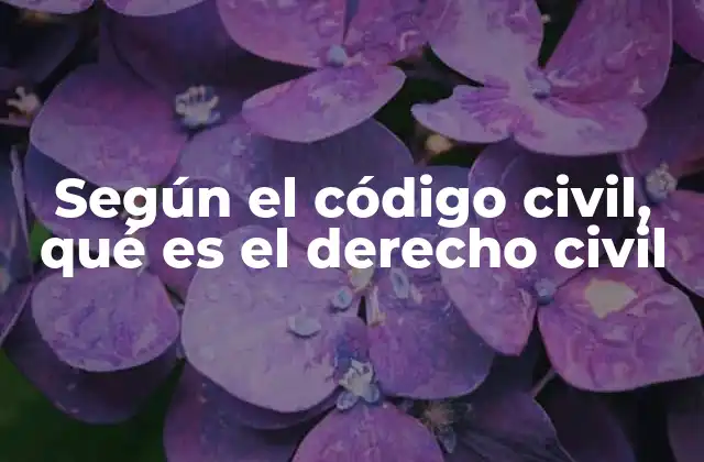 Según el Código Civil, Qué es el Derecho Civil 2 La base del derecho civil y su importancia en la sociedad