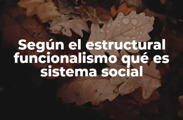 Según el Estructural Funcionalismo Qué es Sistema Social