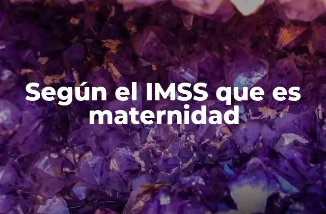 Según el Imss que es Maternidad