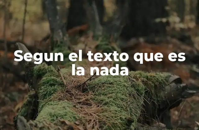 Segun el Texto que es la Nada
