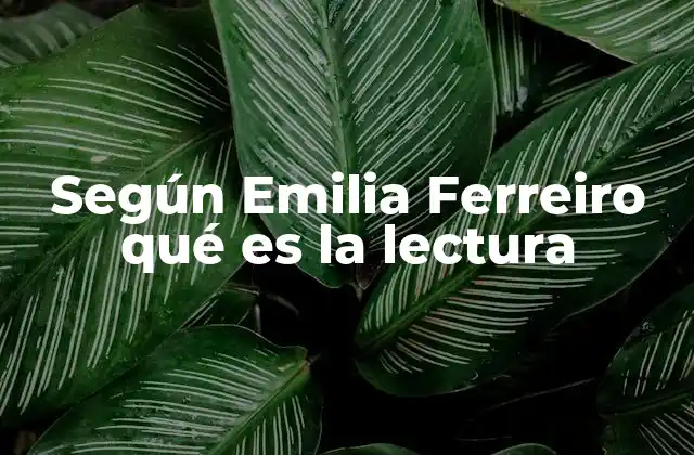 Según Emilia Ferreiro Qué es la Lectura