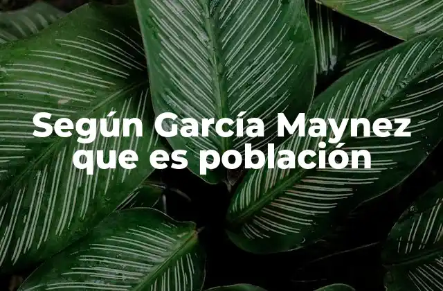 Según García Maynez que es Población