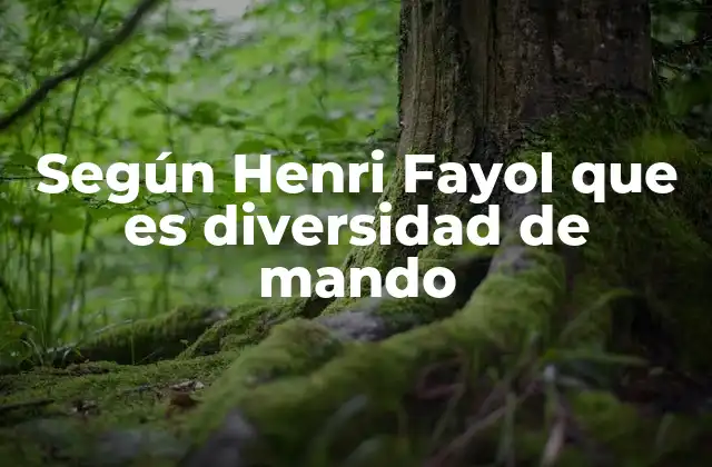 Según Henri Fayol que es Diversidad de Mando