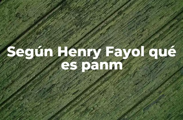 Según Henry Fayol Qué es Panm