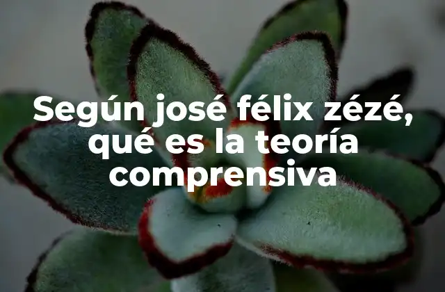 Según José Félix Zézé, Qué es la Teoría Comprensiva