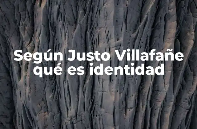 Según Justo Villafañe Qué es Identidad