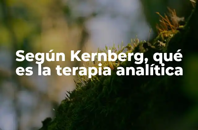 Según Kernberg, Qué es la Terapia Analítica