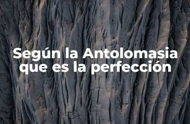 Según la Antolomasia que es la Perfección