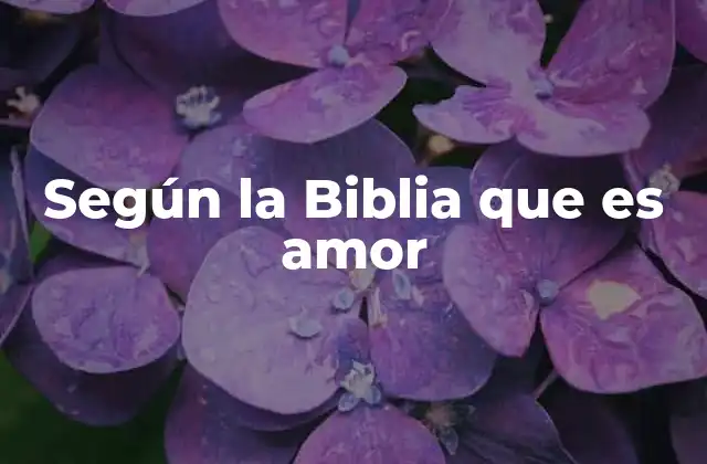 Según la Biblia que es Amor
