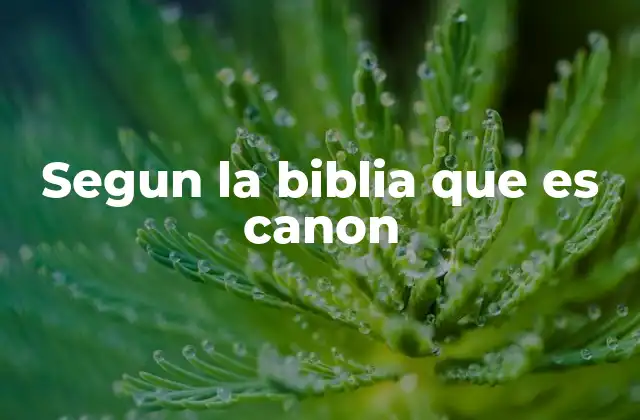 Segun la Biblia que es Canon