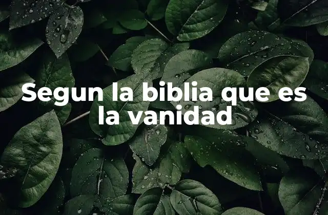 Segun la Biblia que es la Vanidad