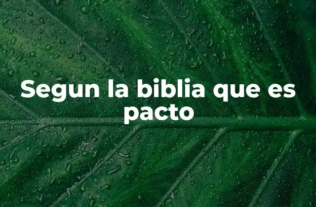 Segun la Biblia que es Pacto