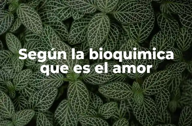 El amor desde una perspectiva química y biológica