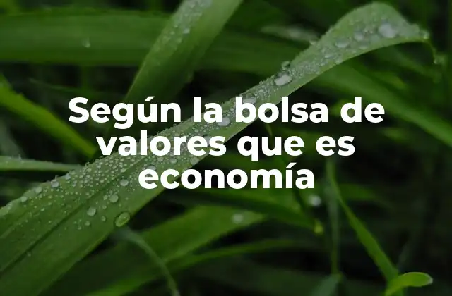 Según la Bolsa de Valores que es Economía