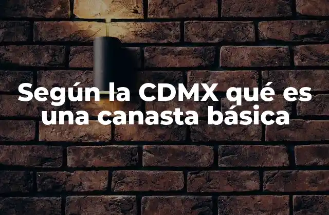 Según la Cdmx Qué es una Canasta Básica