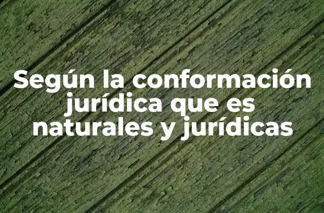 Según la Conformación Jurídica que es Naturales y Jurídicas