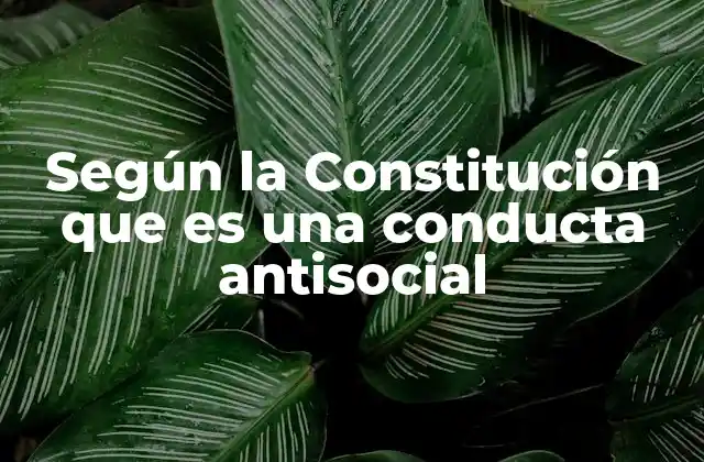 Según la Constitución que es una Conducta Antisocial