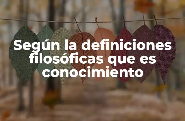 Según la Definiciones Filosóficas que es Conocimiento