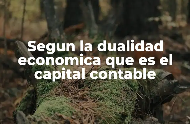 Segun la Dualidad Economica que es el Capital Contable