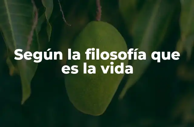 Según la Filosofía que es la Vida