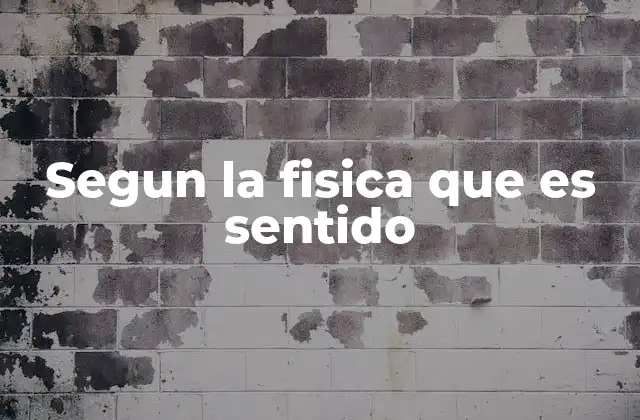 El rol del sentido en la descripción de los movimientos físicos