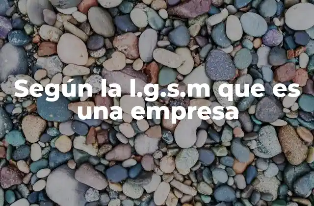 Según la L.g.s.m que es una Empresa