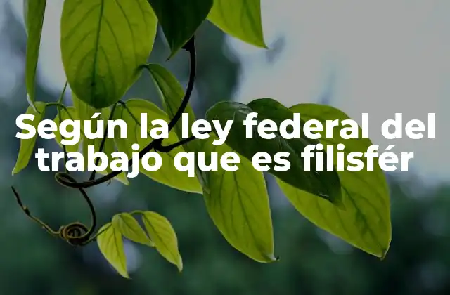 Según la Ley Federal Del Trabajo que es Filisfér
