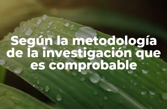 Según la Metodología de la Investigación que es Comprobable