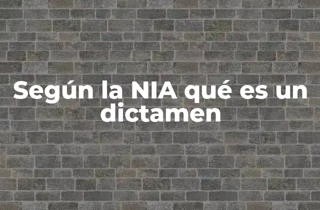 Según la Nia Qué es un Dictamen