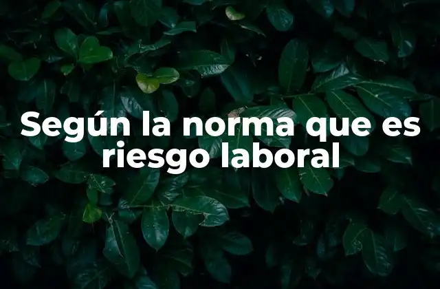 Según la Norma que es Riesgo Laboral