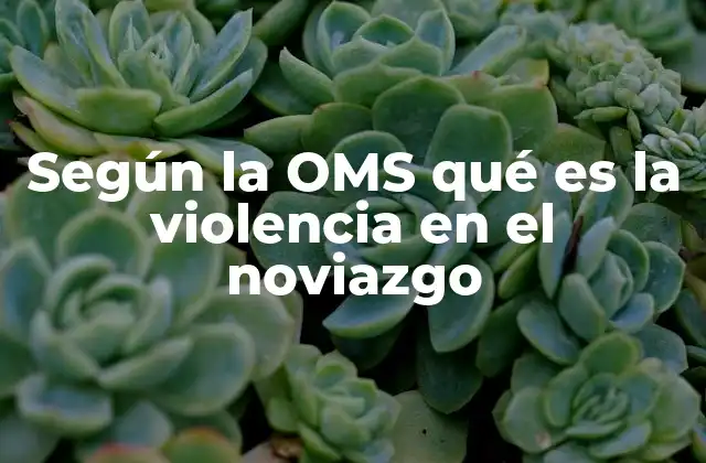 Según la Oms Qué es la Violencia en el Noviazgo
