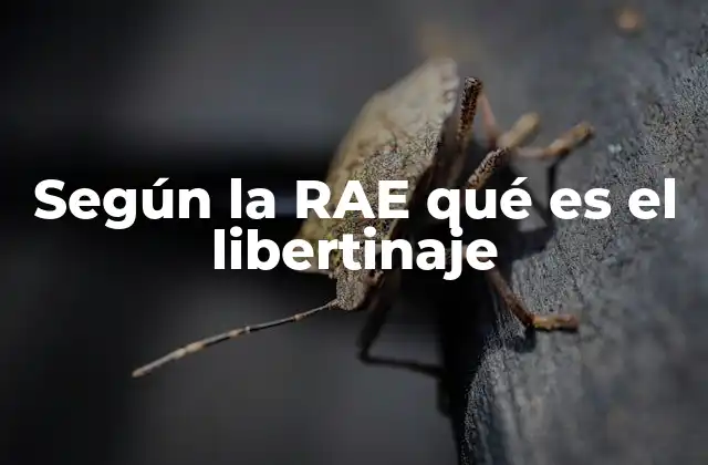 Según la Rae Qué es el Libertinaje