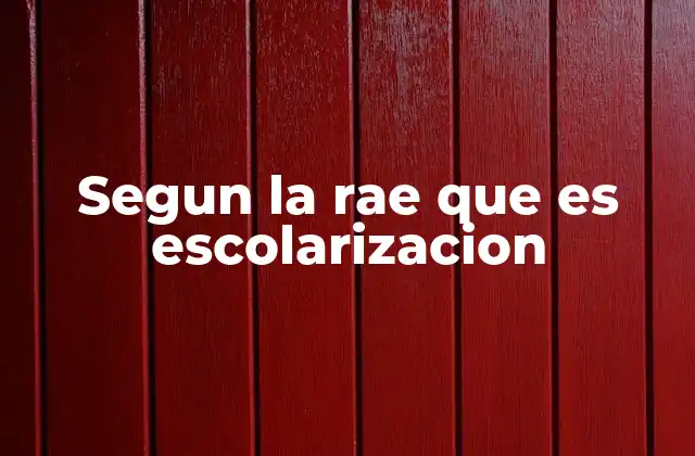 Segun la Rae que es Escolarizacion