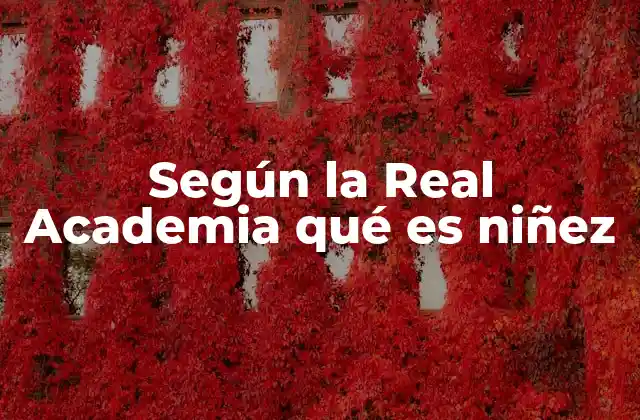 Según la Real Academia Qué es Niñez