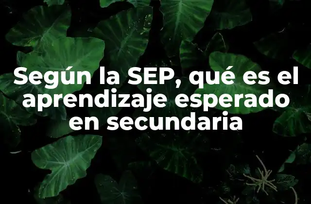 Según la Sep, Qué es el Aprendizaje Esperado en Secundaria