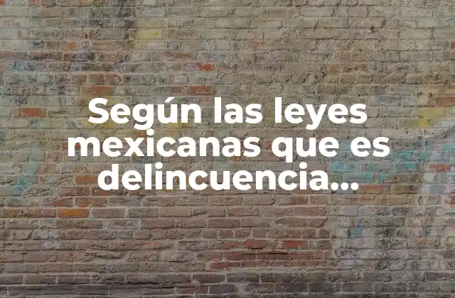 Según las Leyes Mexicanas que es Delincuencia Organizada