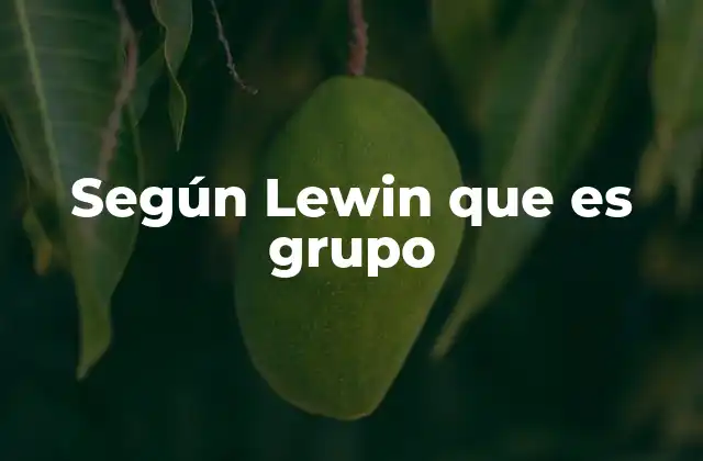 Según Lewin que es Grupo