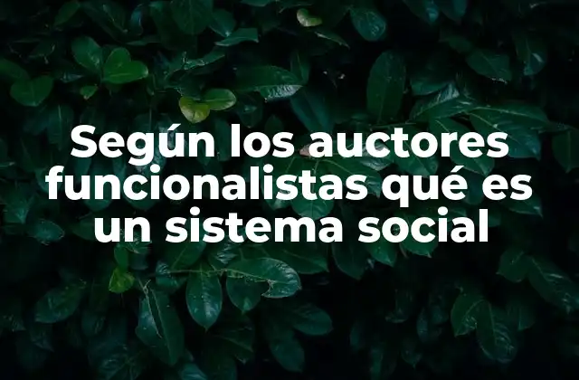 Según los Auctores Funcionalistas Qué es un Sistema Social