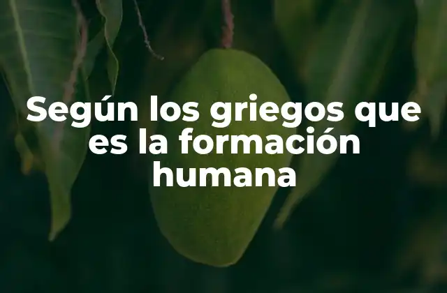 Según los Griegos que es la Formación Humana