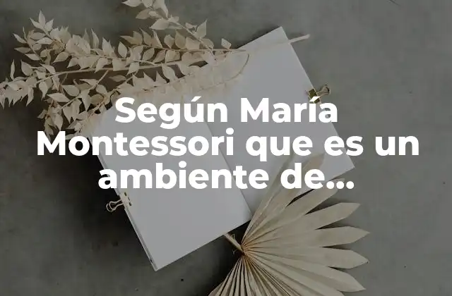 Según María Montessori que es un Ambiente de Aprendizaje