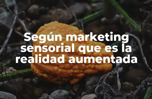 Según Marketing Sensorial que es la Realidad Aumentada