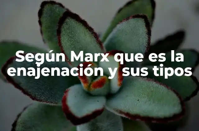 Según Marx que es la Enajenación y Sus Tipos