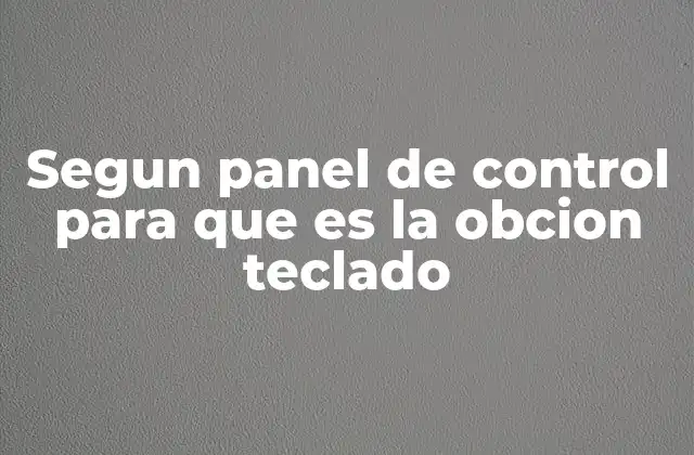 Segun Panel de Control para que es la Obcion Teclado