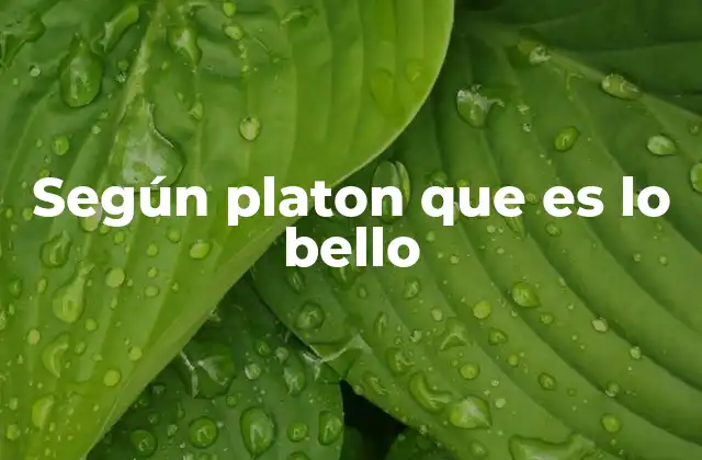 Según Platon que es Lo Bello