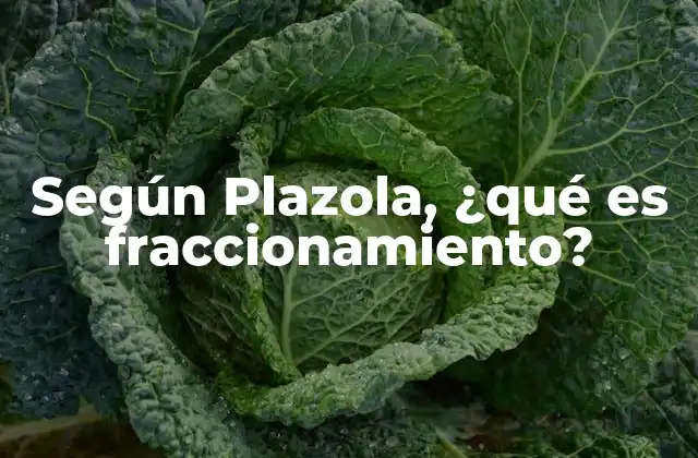 Según Plazola, ¿qué es Fraccionamiento? 2 La importancia del fraccionamiento en la planificación urbana