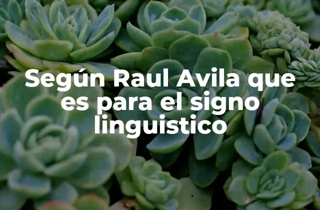 Según Raul Avila que es para el Signo Linguistico