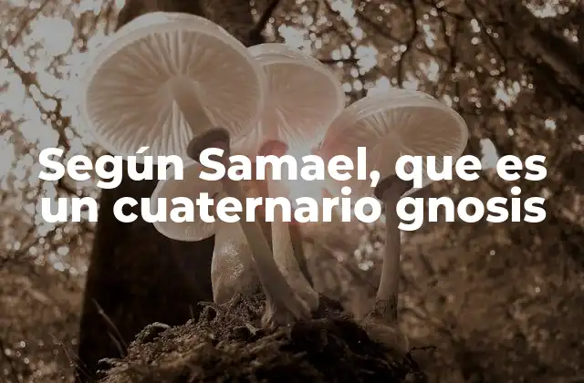 La importancia del modelo cuaternario en la gnosis