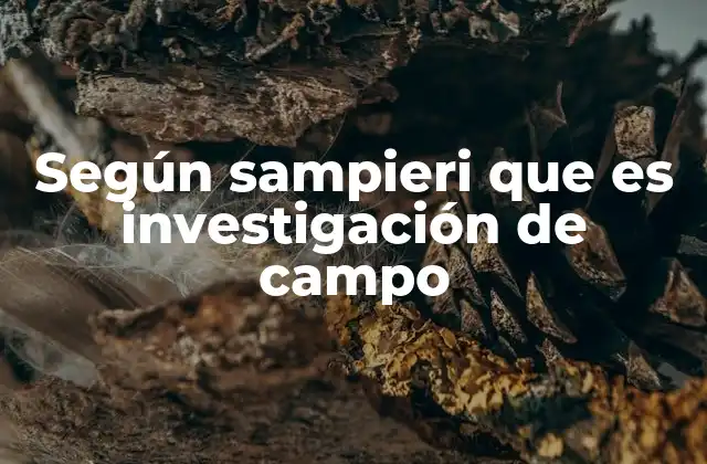 Según Sampieri que es Investigación de Campo