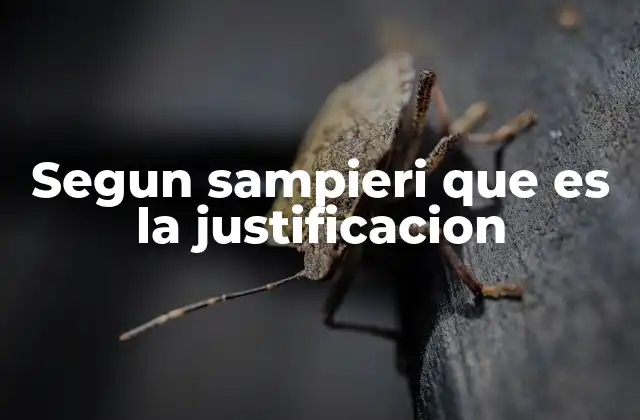 Segun Sampieri que es la Justificacion